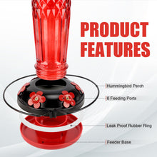 Load image into Gallery viewer, Glass Hummingbird Feeder, 6 Feeding Ports
