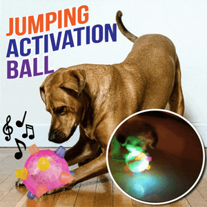 PetsBoro™ Pet Ball  Endless Entertainment for Your Furry Friend!